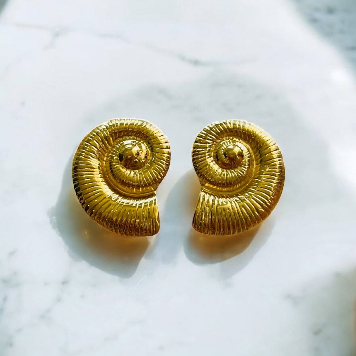 CARACOL ESPIRAL