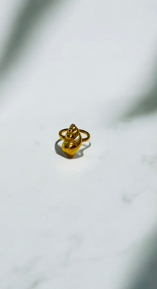 CARACOL 3D