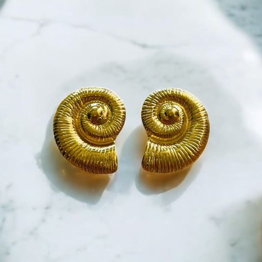 CARACOL ESPIRAL